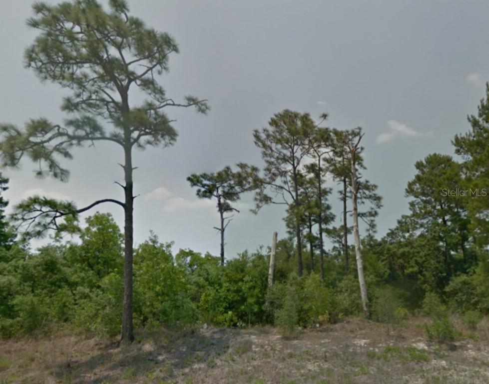 Hibiscus Dr., Poinciana, FL 34759