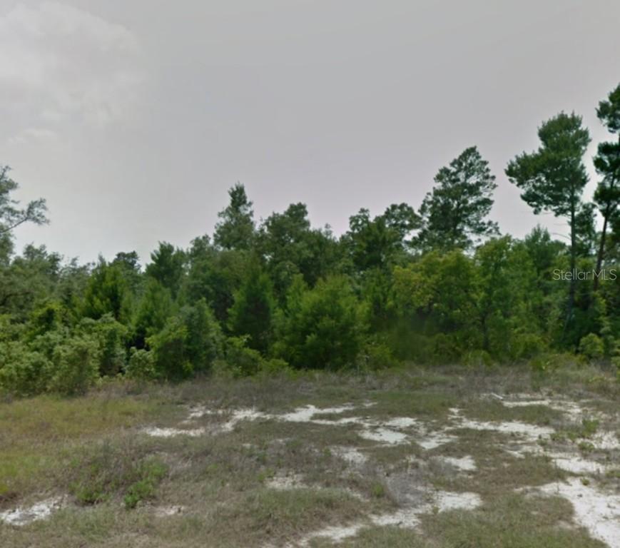 187 Maple Dr., Poinciana, FL 34759