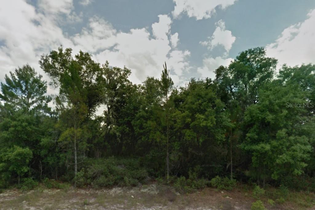 1242 Wahneta Ct., Poinciana, FL 34759