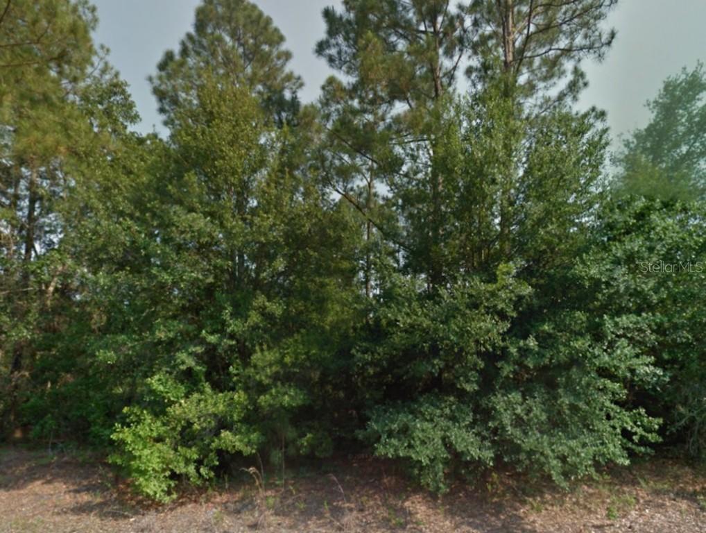 212 Spoonbill Dr., Poinciana, FL 34759