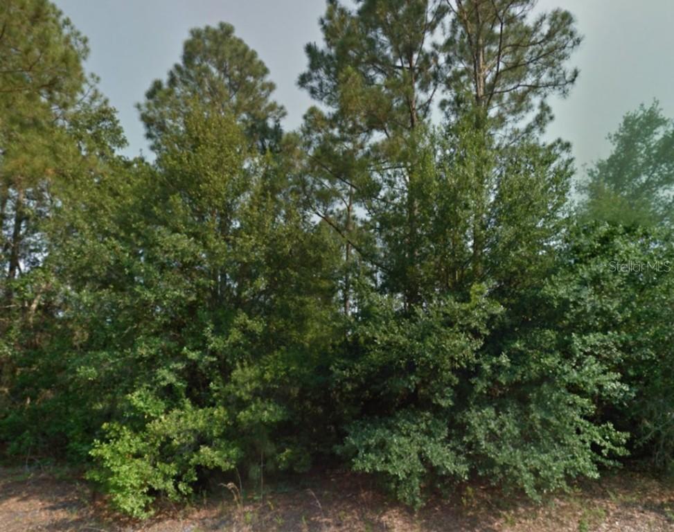 222 Spoonbill Dr., Poinciana, FL 34759