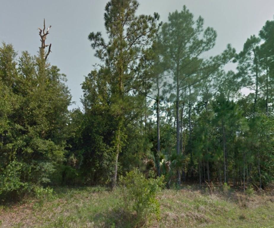 228 Spoonbill Dr., Poinciana, FL 34759