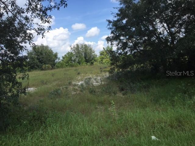 Ronald Reagan Pkwy., Davenport, FL 33896