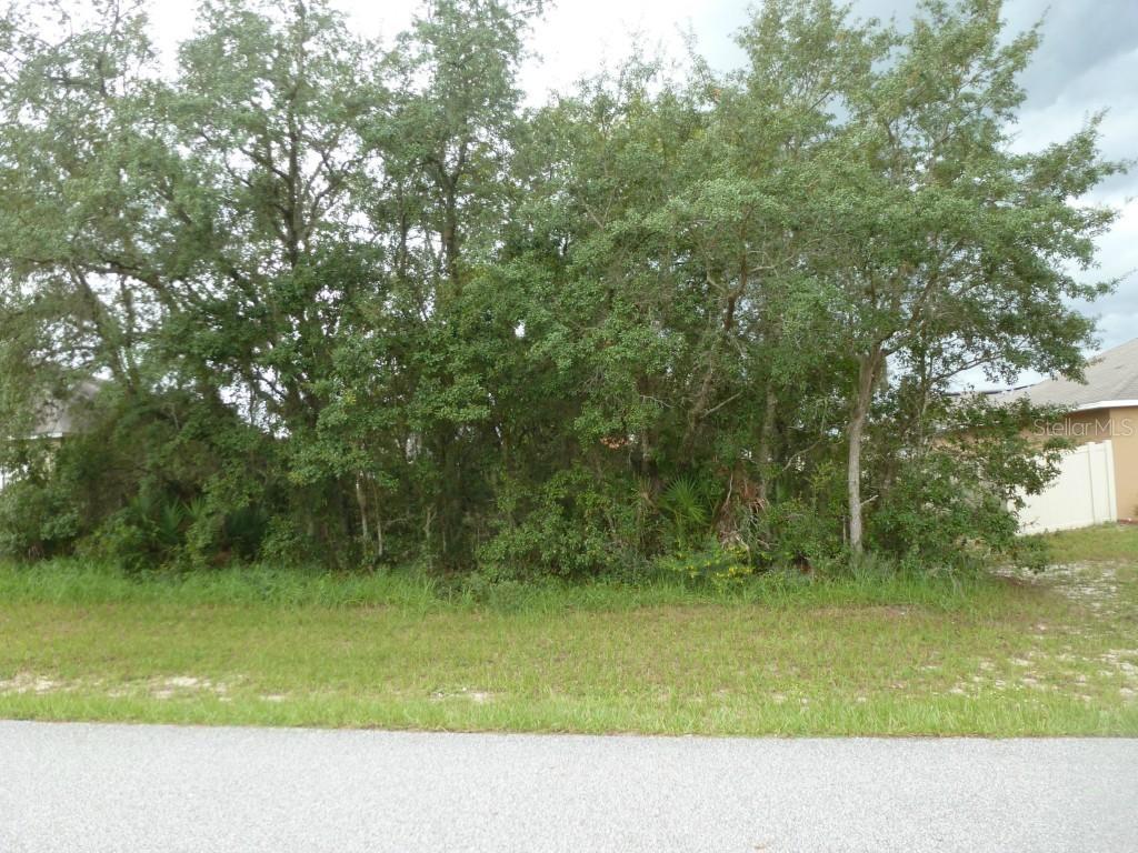 Hudson Ct., Poinciana, FL 34759