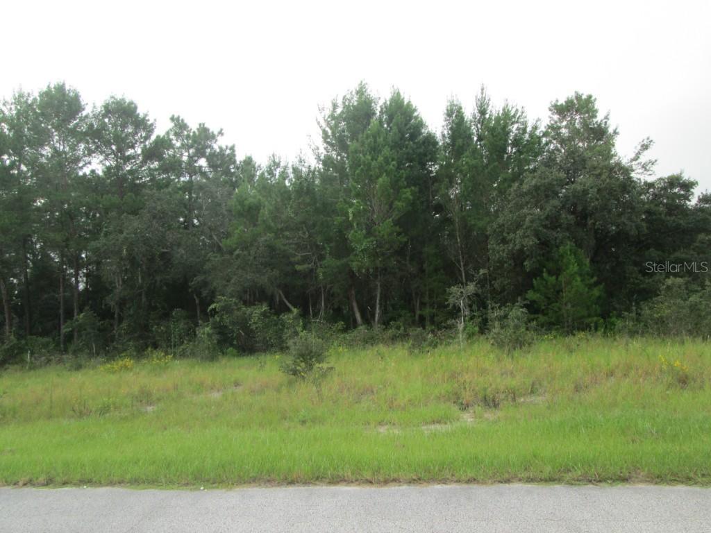 277 Elm Ct., Poinciana, FL 34759