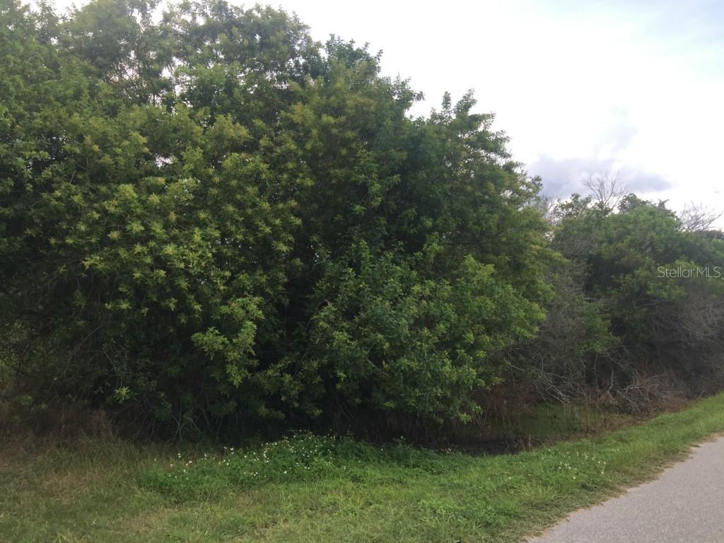 Cherokee Rd., St Cloud, FL 34772