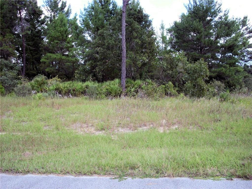 231 Gladiola Ct., Poinciana, FL 34759