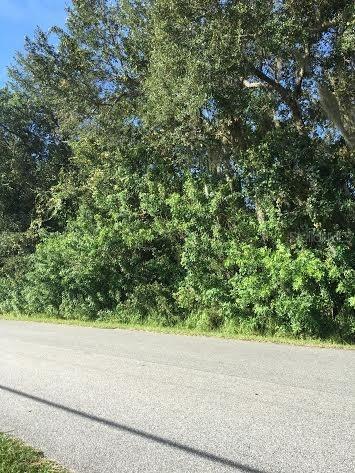 3120 Cherokee Rd., St Cloud, FL 34772