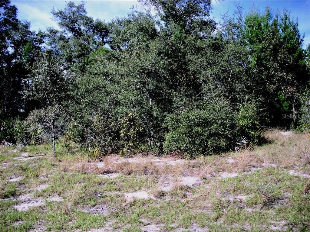 9 Zinnia Ln., Poinciana, FL 34759