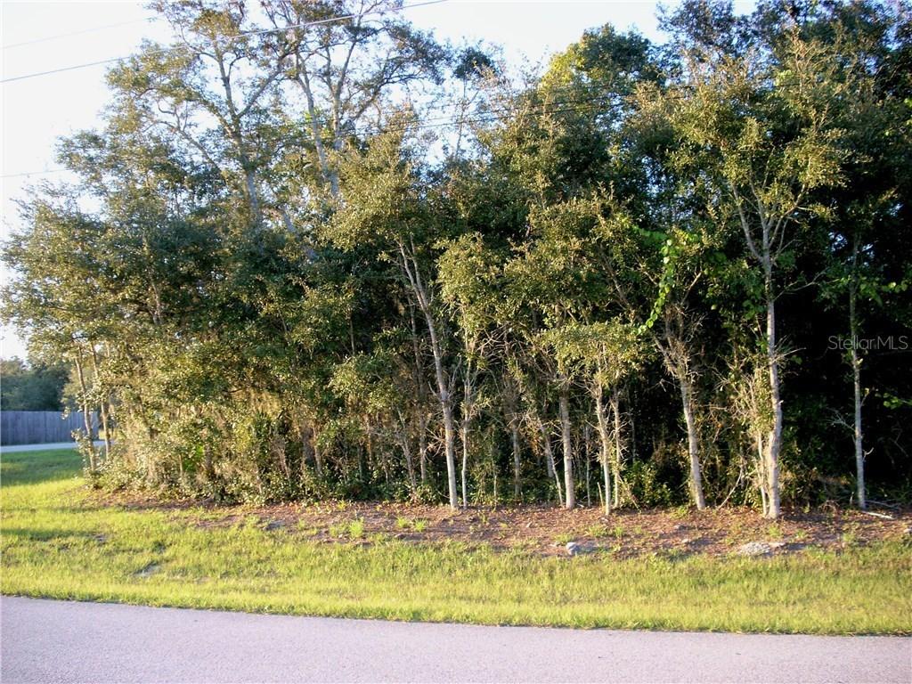 401 Peace Ct., Poinciana, FL 34759