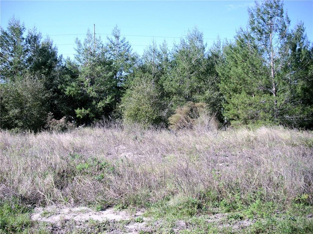 395 Daffodil Ln., Poinciana, FL 34759