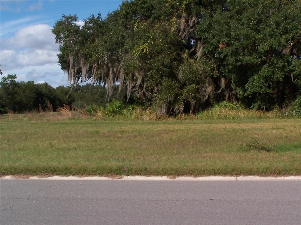 2271 Marshfield Preserve Way, Kissimmee, FL 34746