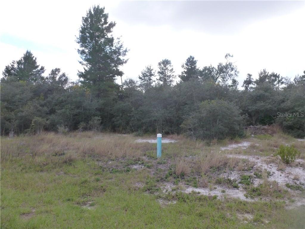 145 Violet Ct., Poinciana, FL 34759