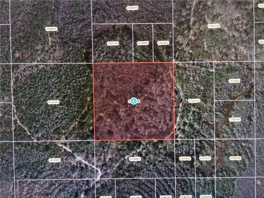 None, Clermont, FL 34711