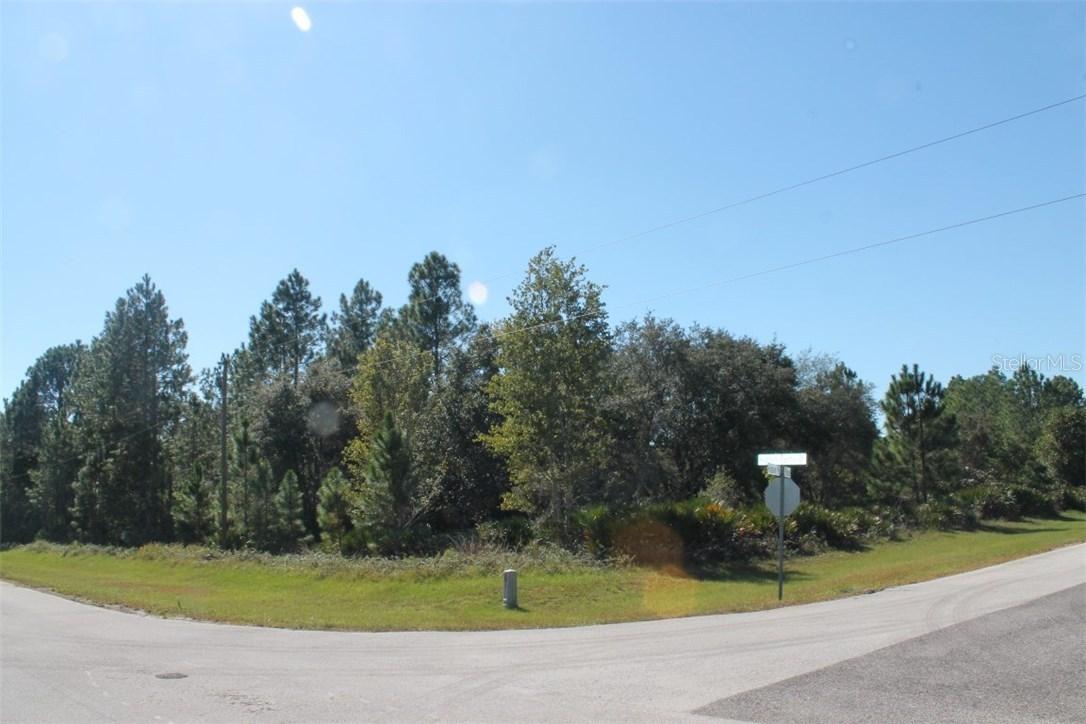 1307 Hidden Palms Dr., Davenport, FL 33897