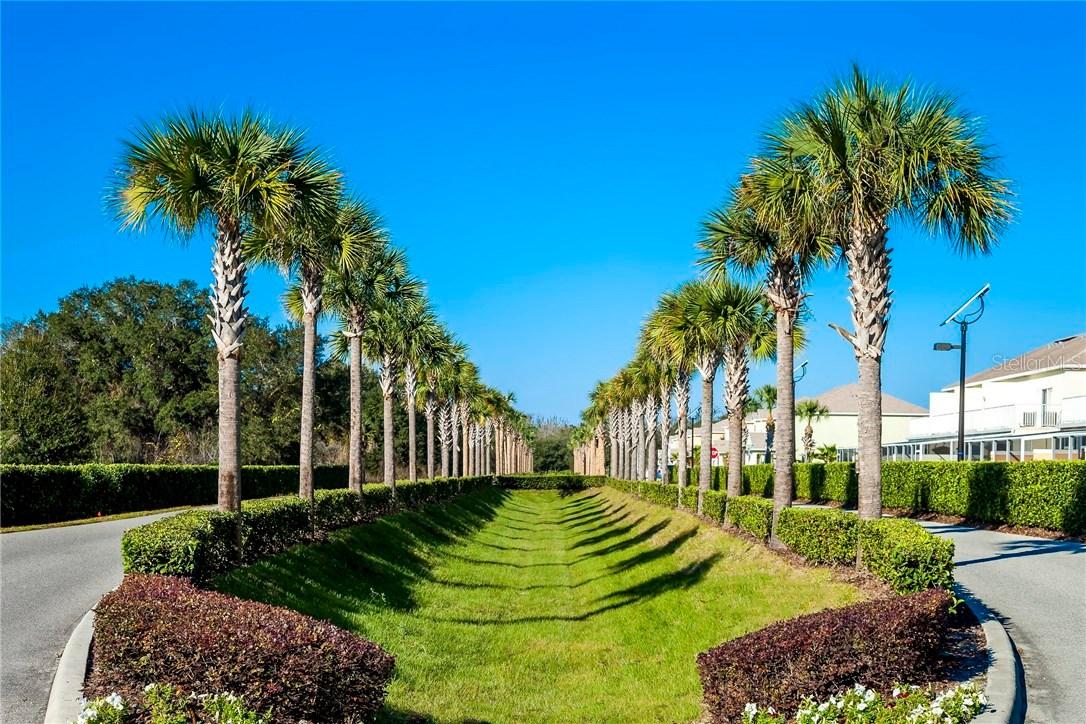 1520 Still Dr., Clermont, FL 34714