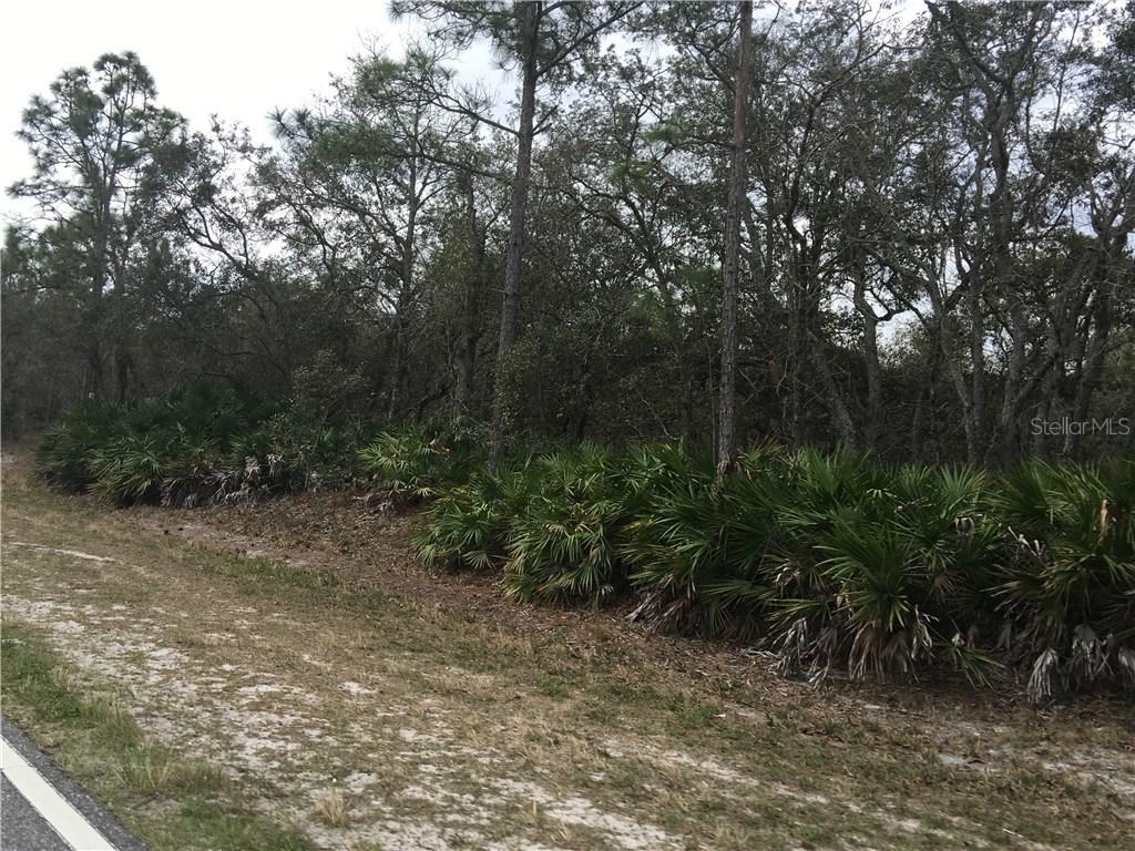 Poinciana Blvd., Davenport, FL 33896