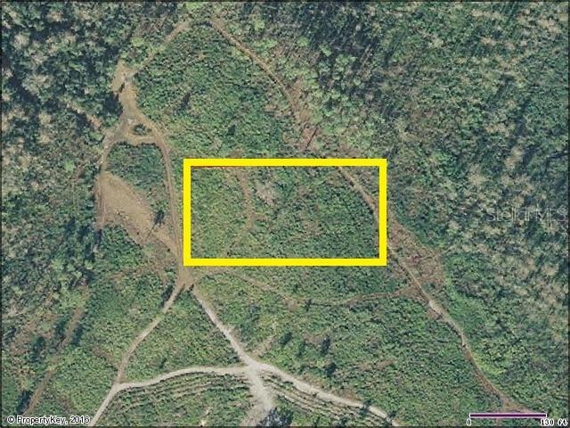 Suburban Ests Sec 12...3134 0010, St Cloud, FL 34772