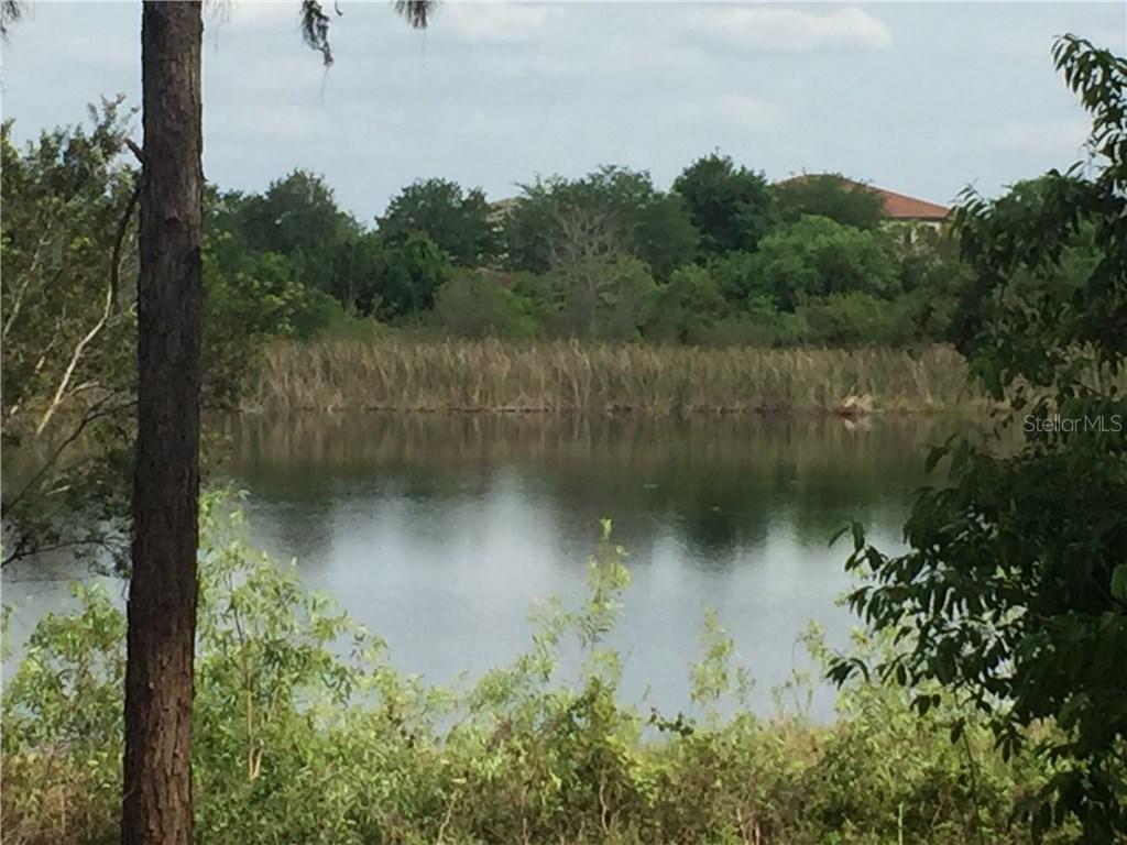 4247 Clarice Ct., Windermere, FL 34786