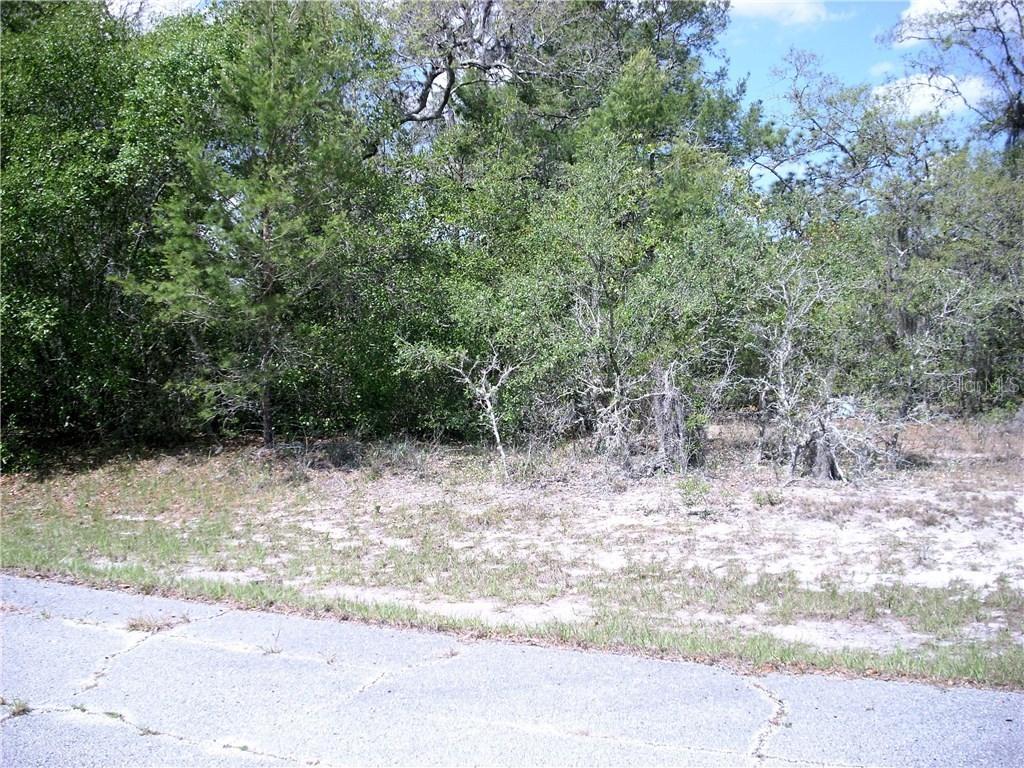 1314 St Augustine Ct., Poinciana, FL 34759
