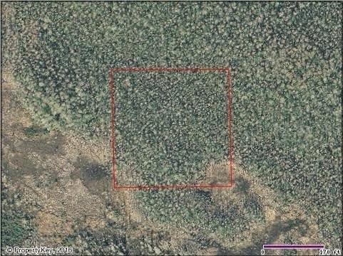 Holopaw Groves Rd., St Cloud, FL 34773