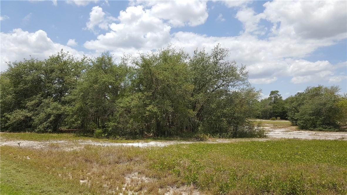 1207 Amazon Ln., Poinciana, FL 34759