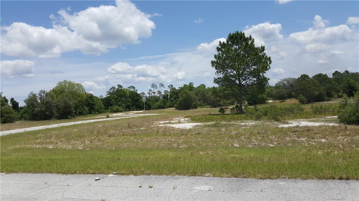 Amberjack Ln., Poinciana, FL 34759