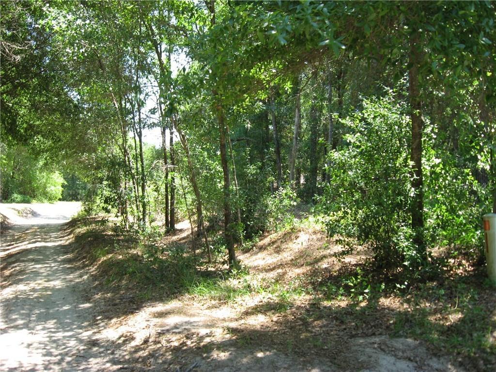 Eufaula Way, Sorrento, FL 32776