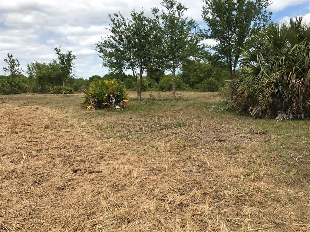 La Salle Ave., St Cloud, FL 34772