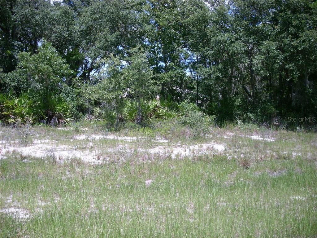 250 E Aster Ct., Poinciana, FL 34759