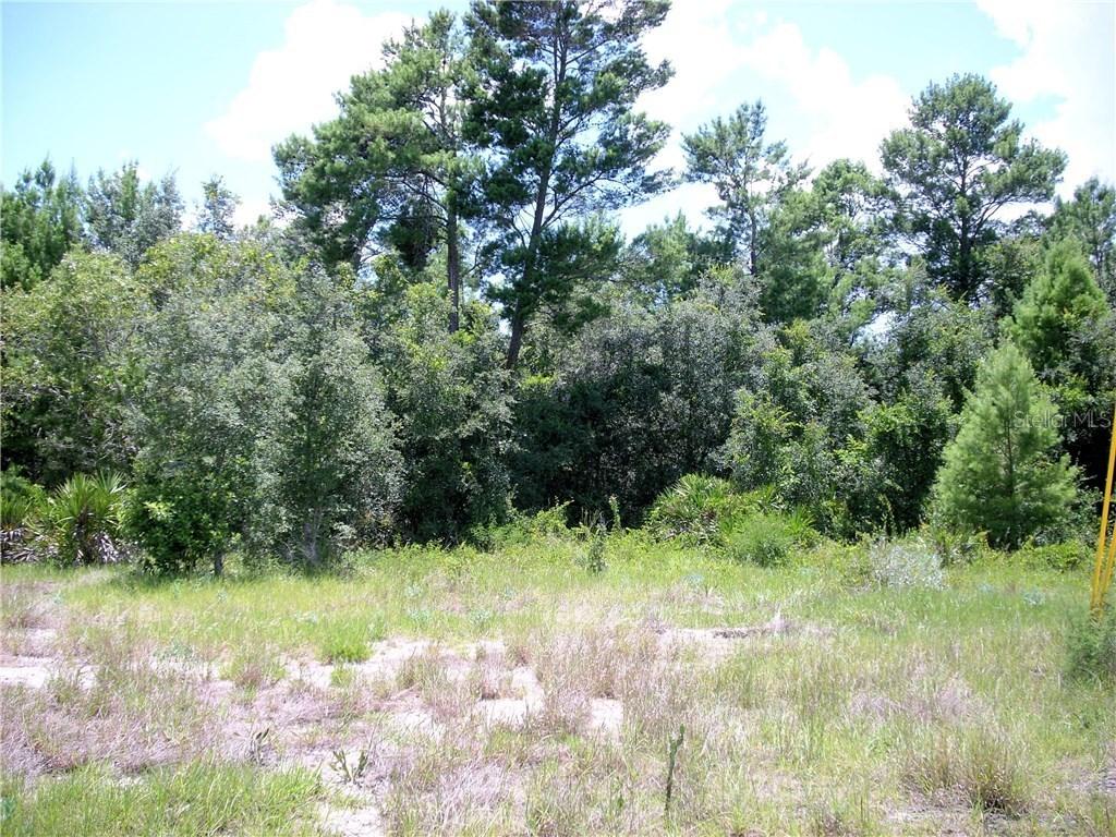183 Maple Dr., Poinciana, FL 34759