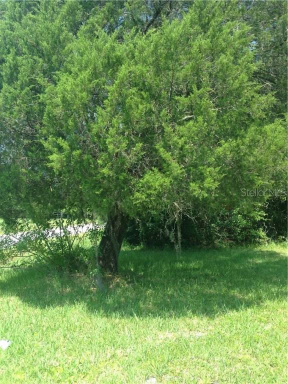 624 E 19th St., St. Cloud, FL 34769