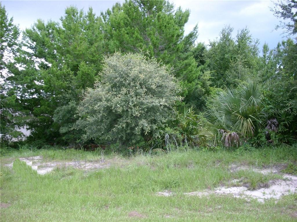386 Begonia Ct., Poinciana, FL 34759