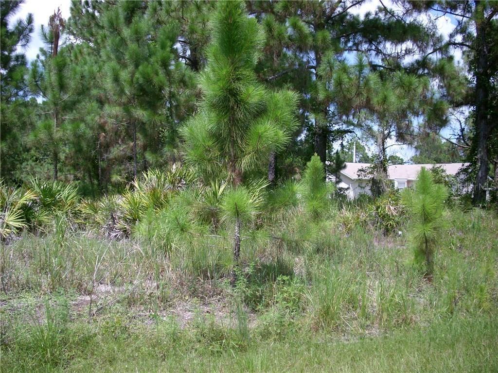 104 Sail Way, Poinciana, FL 34759