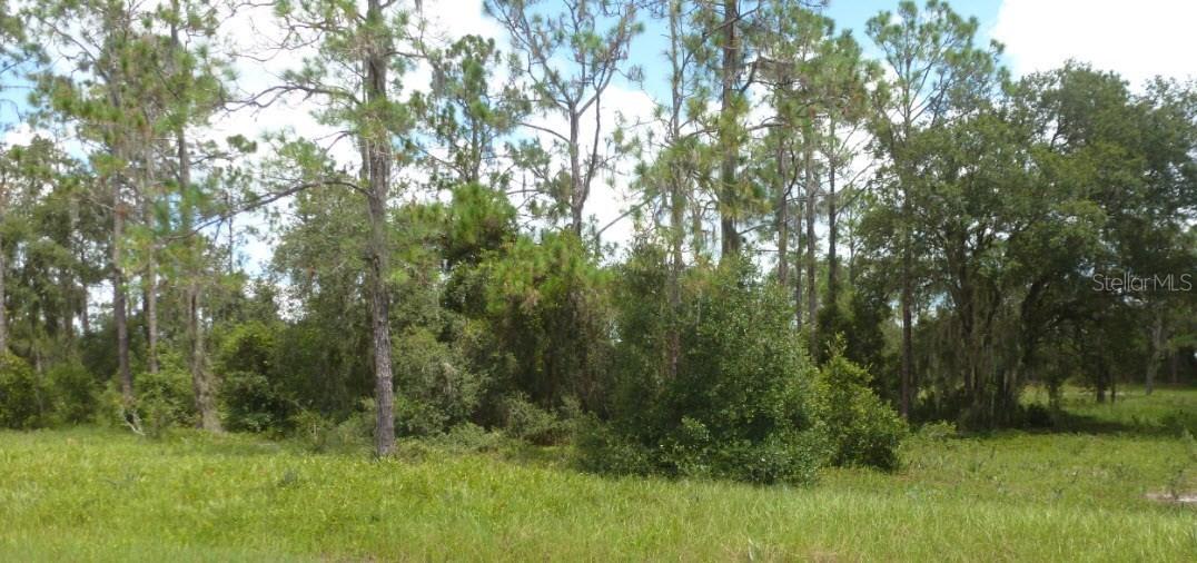 1325 St Augustine Ct., Poinciana, FL 34759