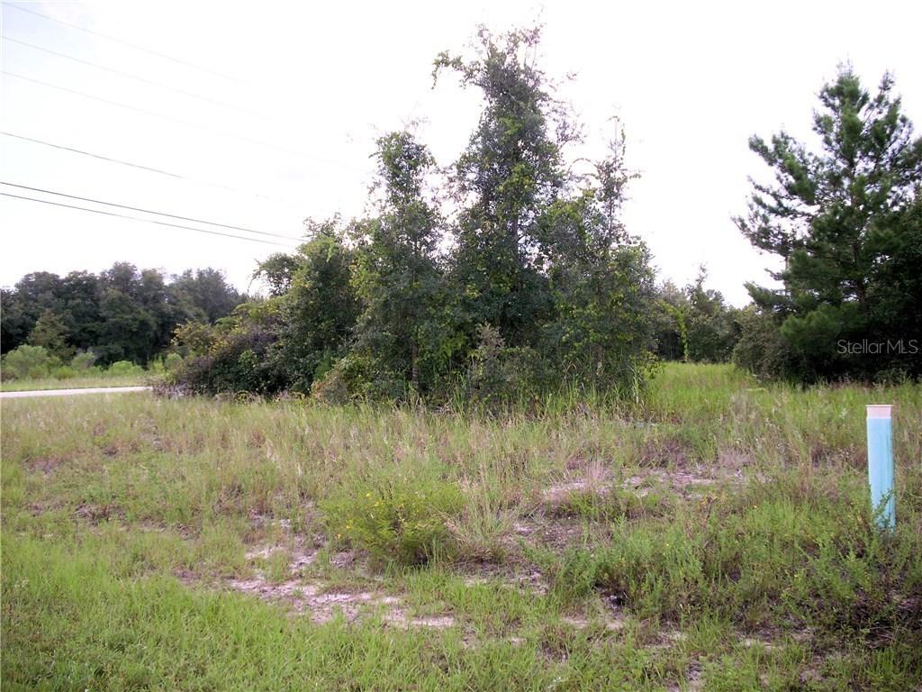 300 Daffodil Ln., Poinciana, FL 34759