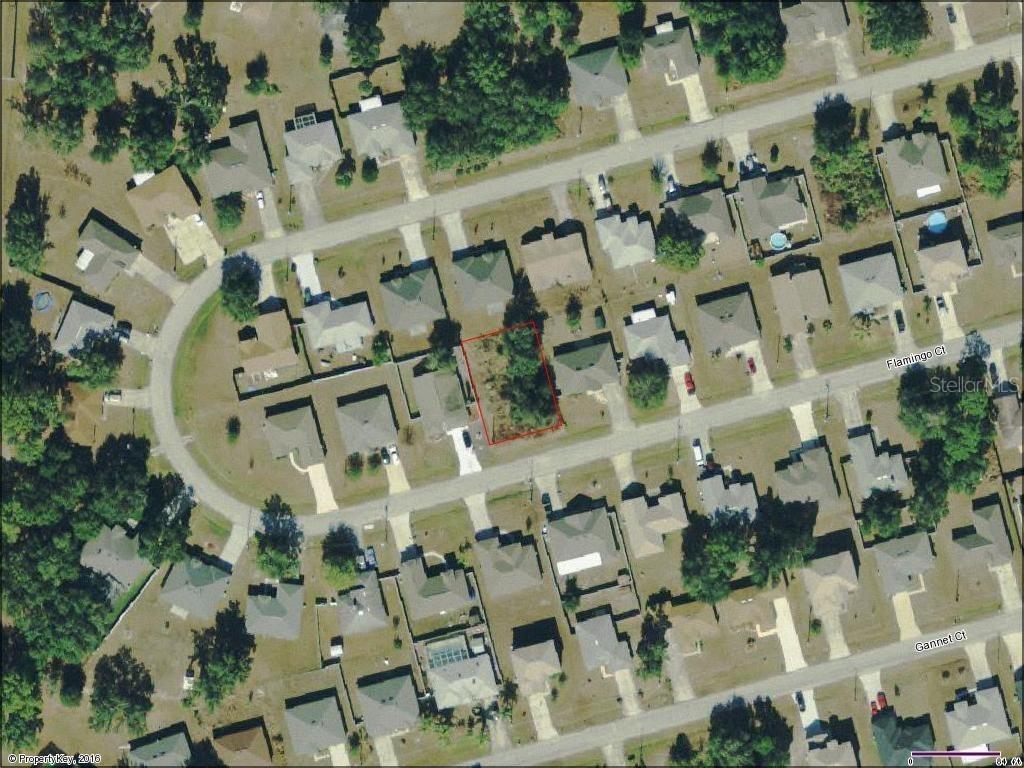 450 Flamingo Ct., Poinciana, FL 34759