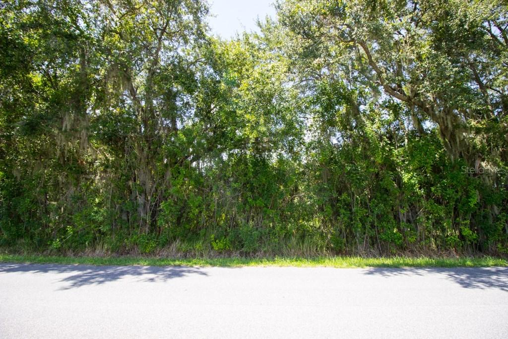 3120 Cherokee Rd., St Cloud, FL 34772