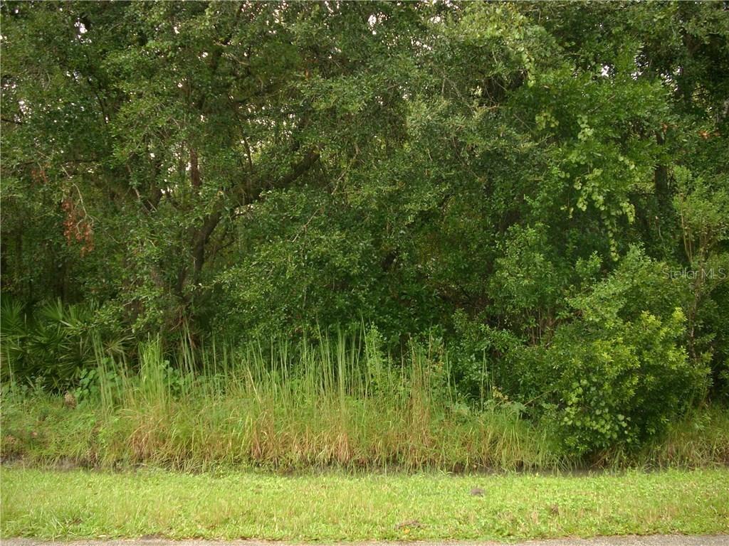 1407 Teal Dr., Poinciana, FL 34759