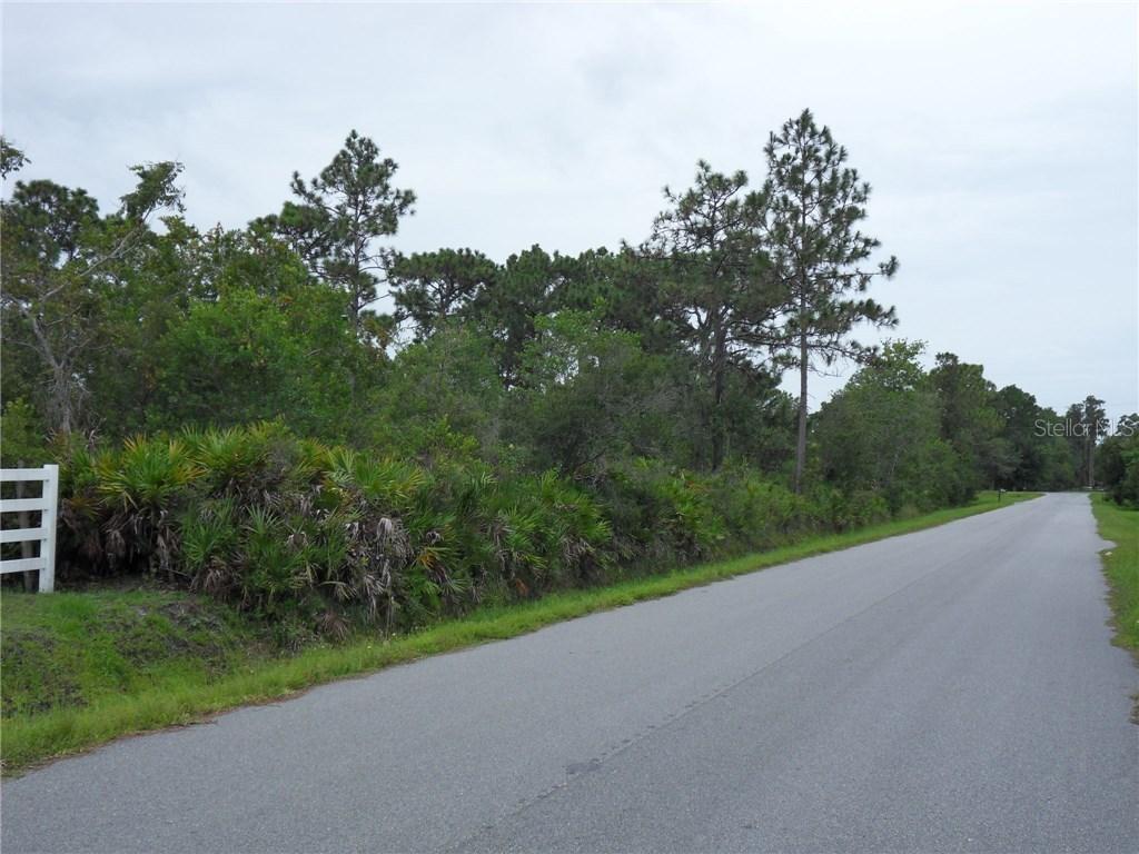 La Salle Ave., St Cloud, FL 34772