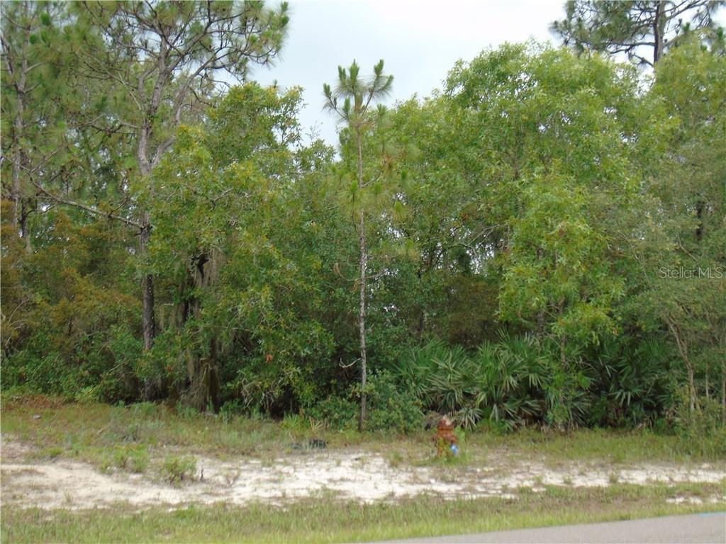 314 Puffer Ct., Poinciana, FL 34759