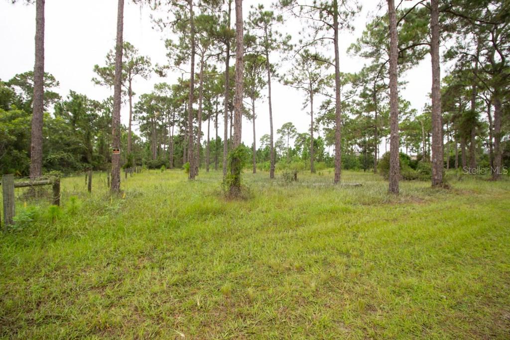 6550 Bass Hwy., Saint Cloud, FL 34771