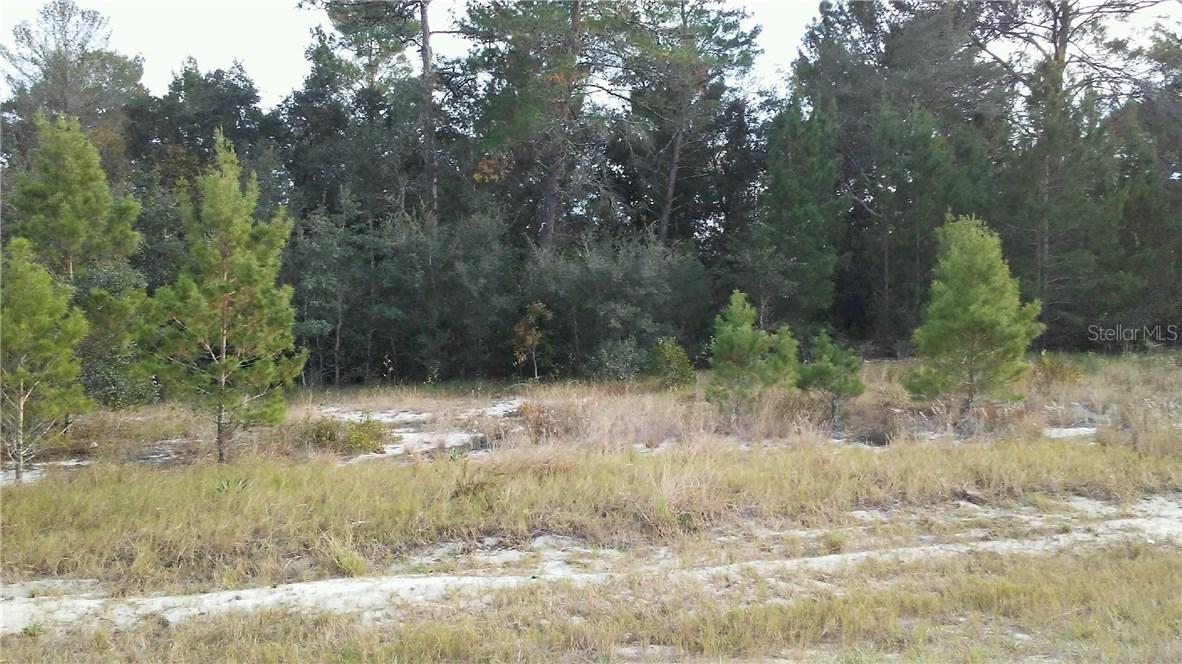 2010 Maple Ln., Poinciana, FL 34759