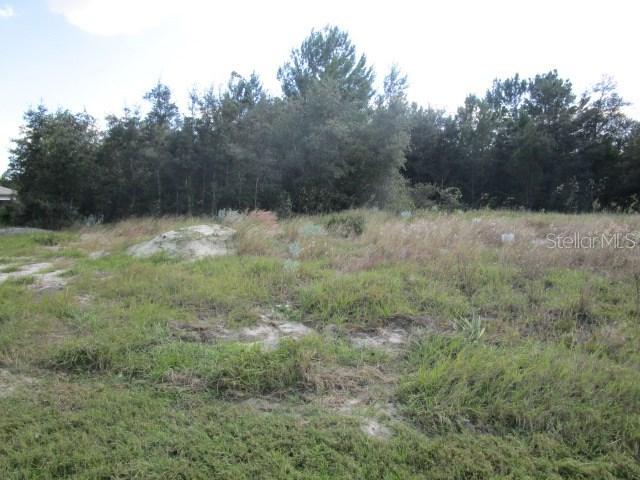 191 Maple Dr., Poinciana, FL 34759