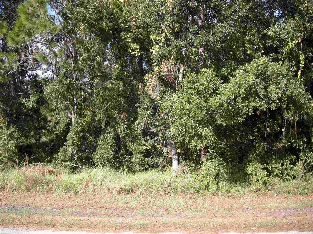 1018 Pantheon Dr., Kissimmee, FL 34759