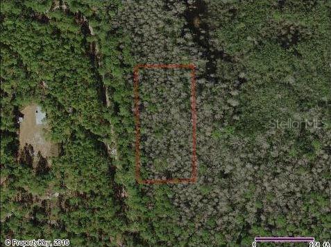 Holopaw Groves Rd., St Cloud, FL 34773