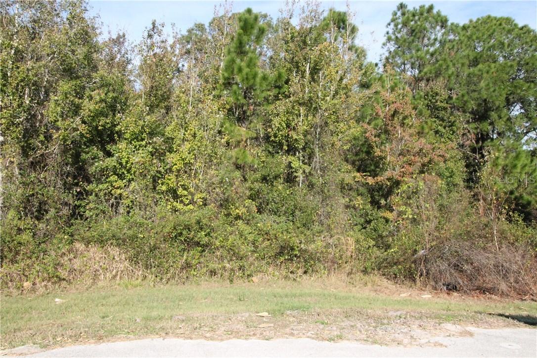 1719 Hidden Palms Dr., Davenport, FL 33897