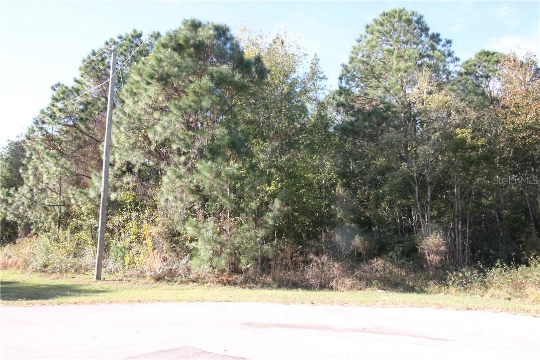 1713 Hidden Palms Dr., Davenport, FL 33897