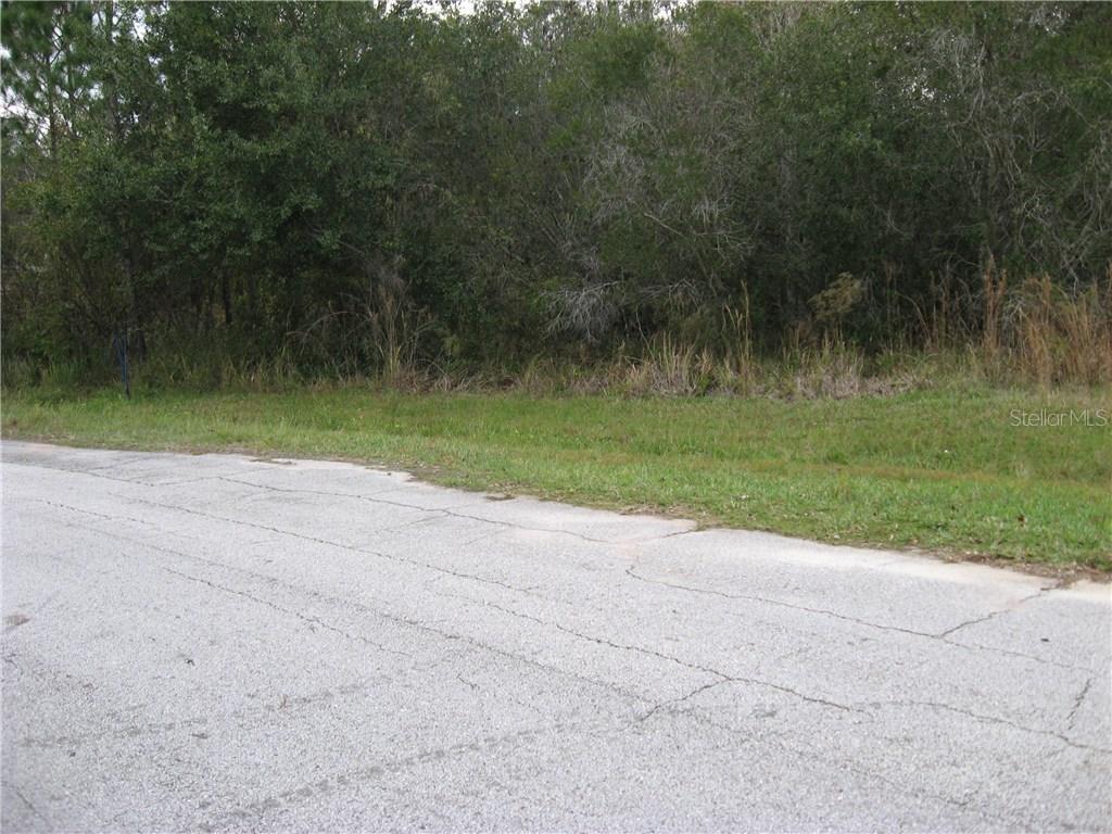 1415 Teal Ct, Poinciana, FL 34759