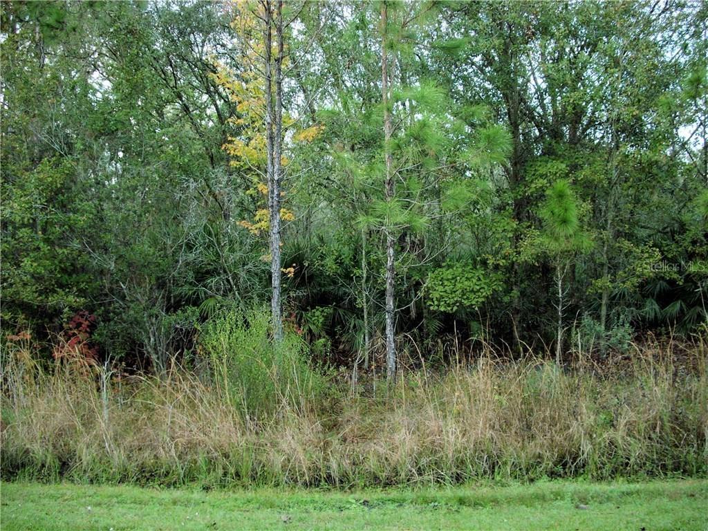 132 Sparrow Ct., Poinciana, FL 34759